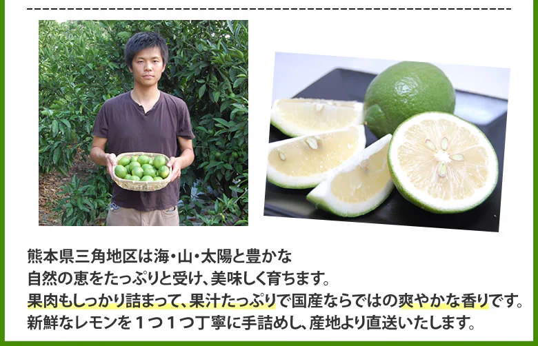 レモン 訳あり 国産レモン 送料無料 5kg 熊本県産 減農薬 防腐剤ワックス不使用 れもん グリーンレモン 国産