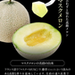 九州産 マスクメロン 2Lサイズ 秀品 1玉 約1.2kg 送料無料 熨斗対応 ギフト プレゼント メロン 贈答 フルーツギフト 贈り物  《7-14営業日以内に出荷予定（土日祝除く）》