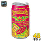 ハワイアンサン パス・オ・グアバネクター 340ml 缶 48本 (24本入×2 まとめ買い) 〔果汁飲料〕