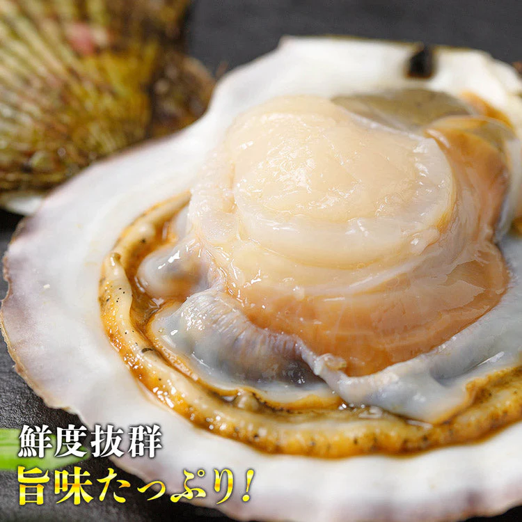 【タイムセール】殻付ほたて貝 10枚入り 冷凍便 【送料無料】 帆立 ホタテ 片貝 バーベキュー/BBQ お取り寄せグルメ 食品 ギフト 海鮮