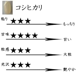 米 滋賀県近江八幡産 コシヒカリ 白米 5kg 令和7年産 内野営農組合 環境こだわり農産物