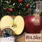 【2023年産予約開始！】秋映 訳あり 約4.5kg (12-25玉) 9月下旬頃発送開始予定 #YAA0B045