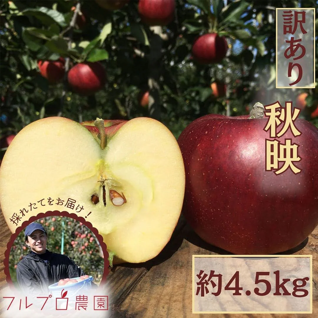 【2023年産予約開始！】秋映 訳あり 約4.5kg (12-25玉) 9月下旬頃発送開始予定 #YAA0B045