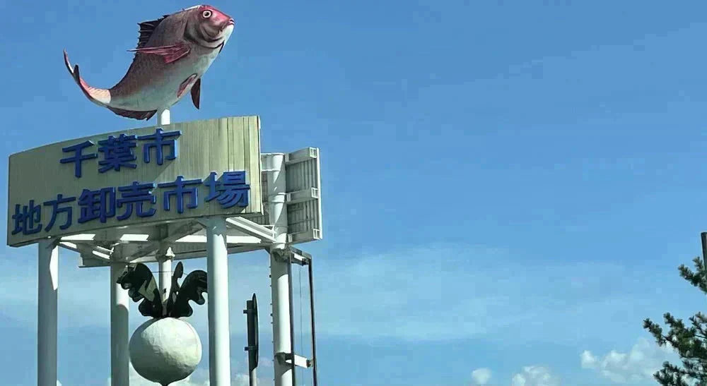 【オーストラリア産】 牛ヒレすじ 1kg