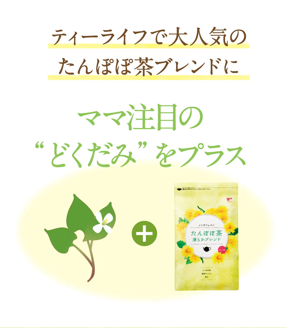 どくだみたんぽぽ茶　ポット用３０個入