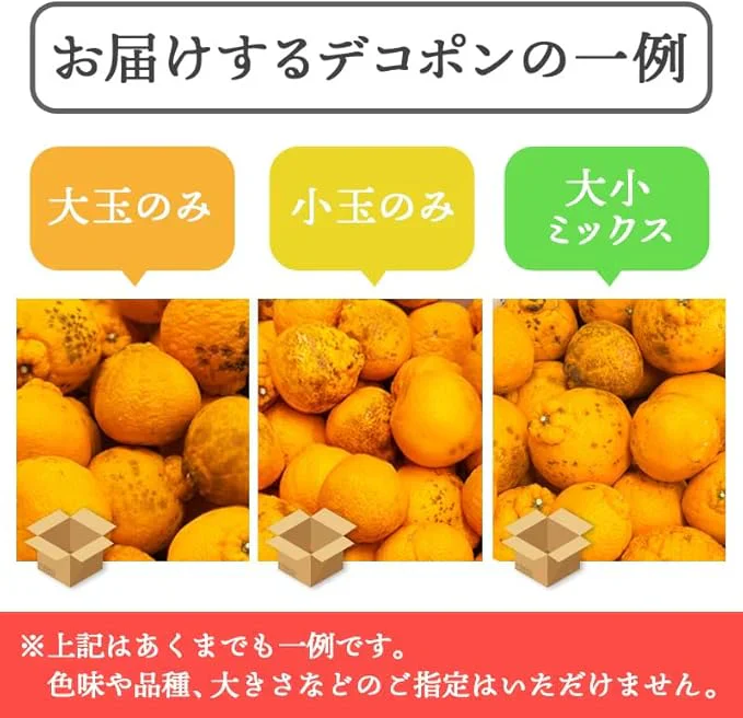 [みさわのやさい] デコポン 訳あり 10kg 国産 和歌山産 でこぽん 不知火 しらぬい 柑橘 甘い 箱 みかん