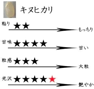 新米 滋賀県近江八幡産 キヌヒカリ 玄米 30kg 内野営農組合 令和6年産 環境こだわり農産物