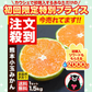小玉 みかん 訳あり 送料無料 1.5kg 小粒 ミカン 柑橘 熊本 極早生 3s-sサイズ 家庭用 7-14営業日以内に出荷予定(土日祝除く)【ご新規さん限定商品】