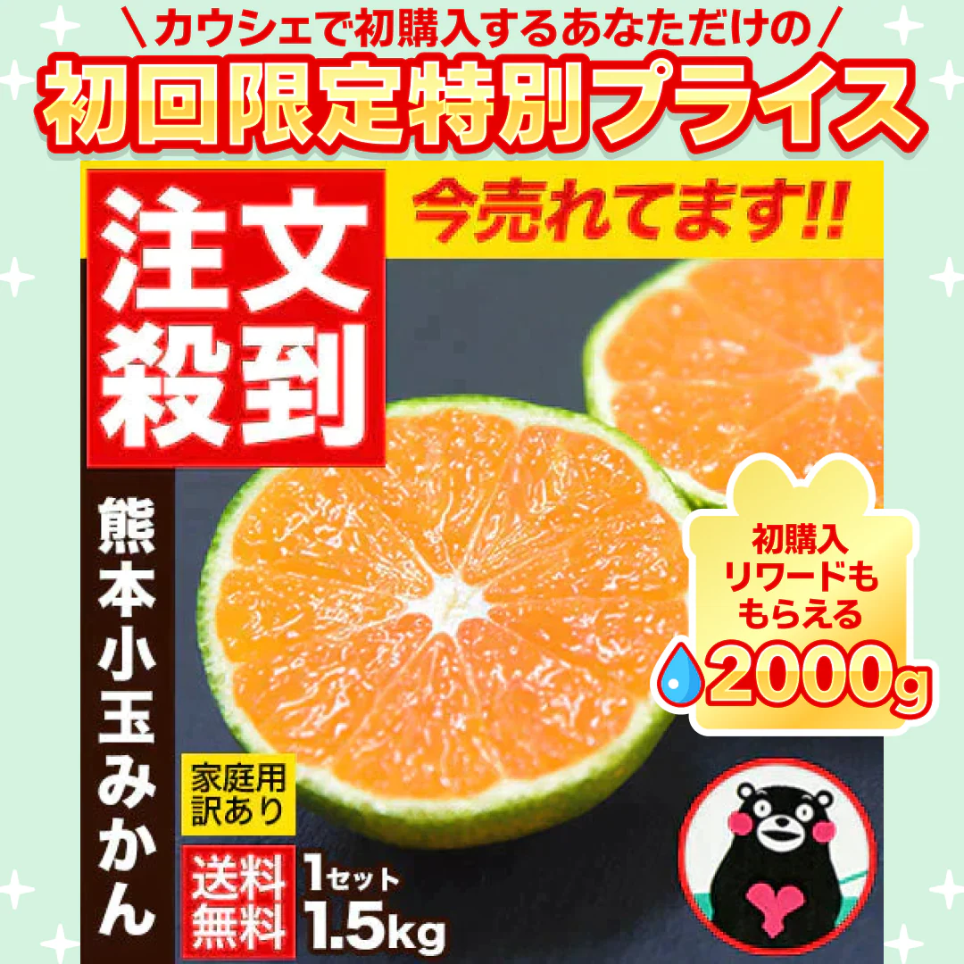 小玉 みかん 訳あり 送料無料 1.5kg 小粒 ミカン 柑橘 熊本 極早生 3s-sサイズ 家庭用 7-14営業日以内に出荷予定(土日祝除く)【ご新規さん限定商品】