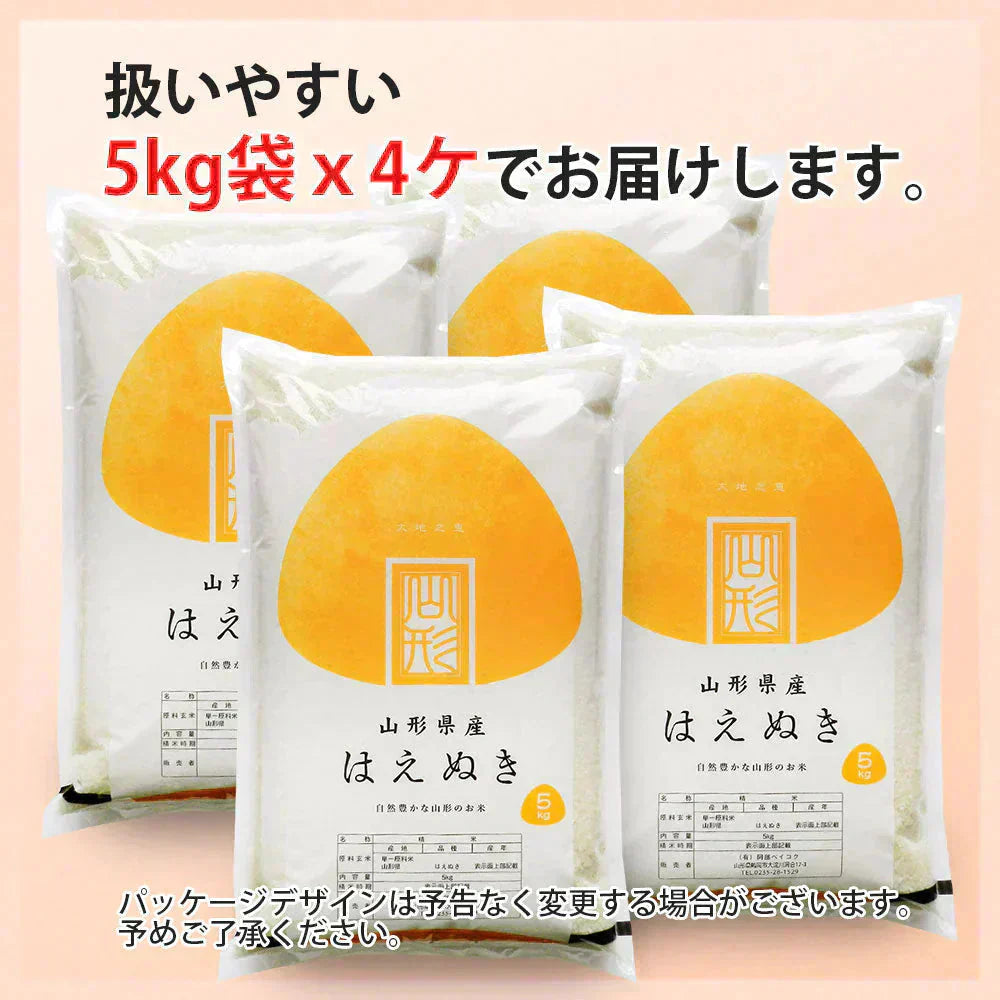 はえぬき 無洗米 20kg (5kg×4袋) 山形県産 令和7年産 送料無料 米 20キロ こめ コメ お米 精米 新米 お米20kg はえぬき20kg はえぬき20キロ