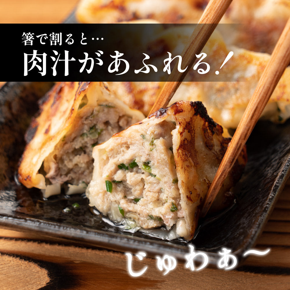 だるま印の冷凍餃子 90個 【濃い味】 醤油なしで食べれる コク深い隠し味噌 静岡の人気店「SHIRUSHI」の特製餃子(30個入り×3袋)