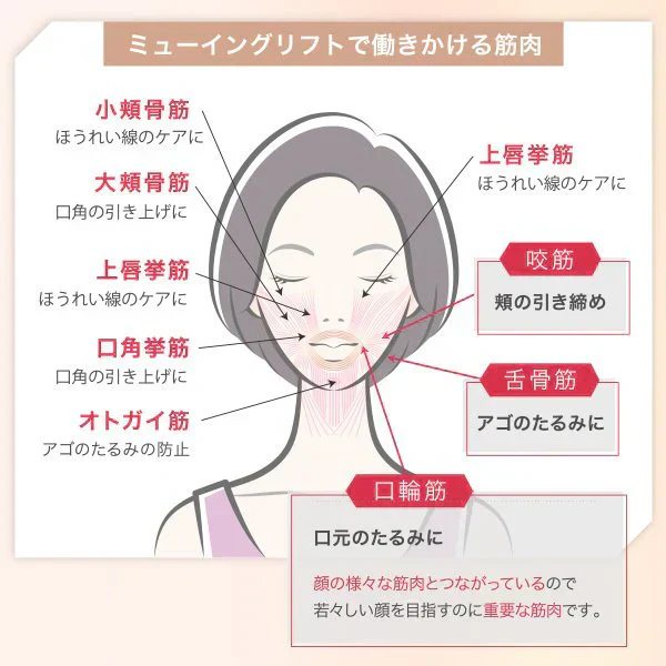 ミューイングリフト 口周り フェイスライン トレーニング スッキリ 顔のもたつき 口の中から鍛える 次世代美顔器 NAOMI 元パリコレモデル