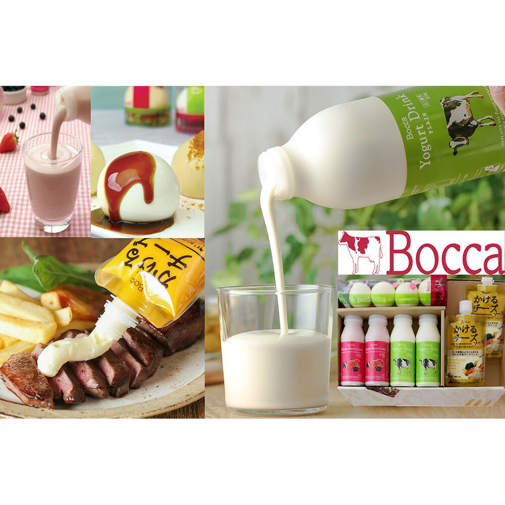 北海道スイーツ Bocca 牧家の乳製品詰め合わせA 北海道生乳100％【二重包装不可】