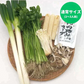 【芹鍋】せり鍋野菜セット(2～3人前) 仙台せり【送料無料】