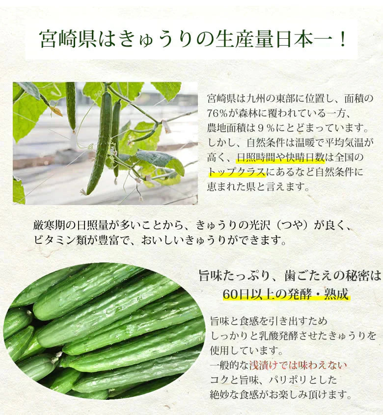 しば漬 漬物 きざみきゅうり漬け 600g（150g×4袋） 送料無料 ポッキリ 宮崎県産 お取り寄せ お取り寄せグルメ きゅうり しそ しょうが なす みょうが つけもの