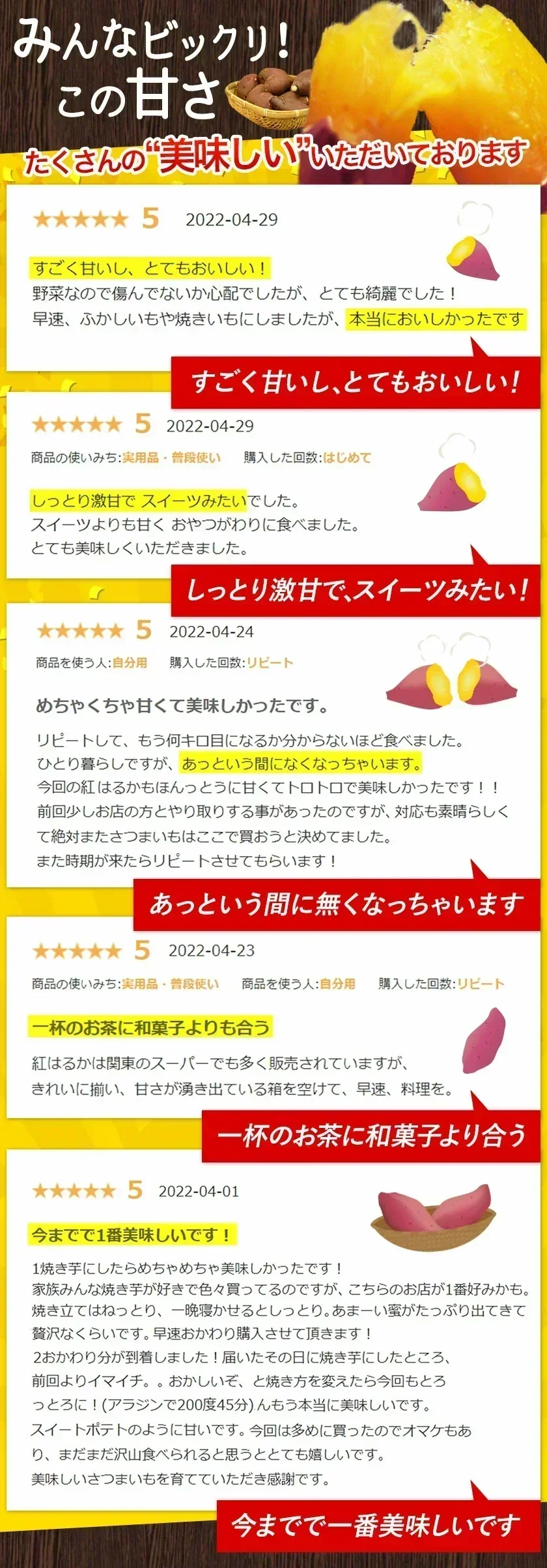さつまいも 熊本県産 訳あり 紅はるか べにはるか 1kg 送料無料 ※大中小サイズ混合(不選別 ) 焼き芋 さつま芋 薩摩芋《3-7営業日以内に出荷予定(土日祝除く)》