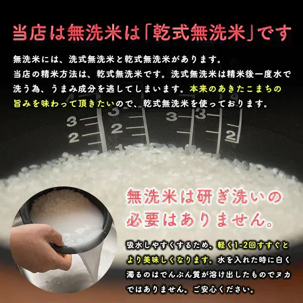 【無洗米10ｋｇ】令和7年産　秋田県産 あきたこまち10ｋｇ 5ｋｇ×2袋  厳選 送料無料 米 10ｋｇ 米びつ当番【天鷹唐辛子】プレゼント付き