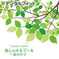 【作業用BGM】【音楽CD】【デラ】歯医者さんのBGM 癒しのオルゴール 森の中で【メール便送料無料】