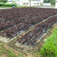 とうやの 赤しそジュース 2本入り しそジュース 紫蘇ジュース シソジュース 希釈タイプ 3倍～4倍 北海道産【送料込み】
