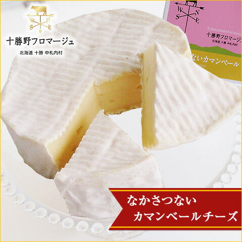 北海道名産品 乳製品 なかさつないカマンベールチーズ(120g)×4