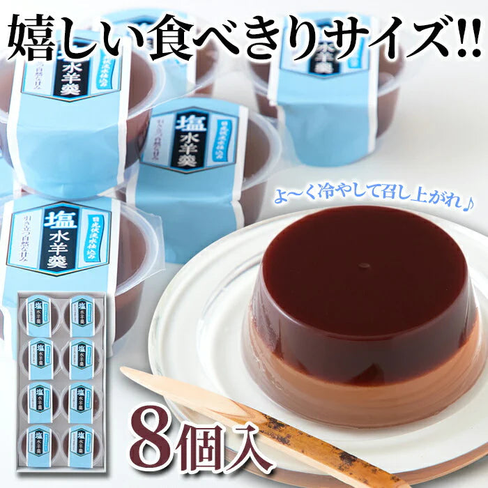 塩水ようかん8個♪小豆と塩寒天が絶妙なハーモニー! ようかん 水ようかん  常温便