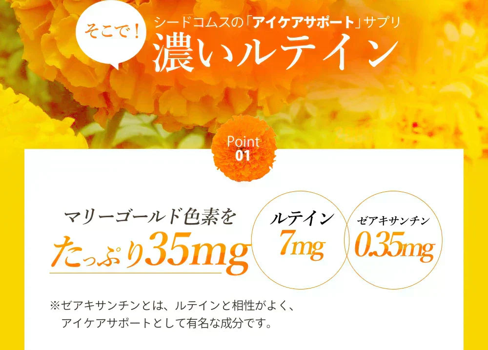 濃いルテイン《約6ヶ月分》ルテイン サプリ サプリメント 亜麻仁油 エゴマ油 ビタミンA ビタミンE ブルーライト デジタルケア マリーゴールド抽出物 PC スマホ【大容量】
