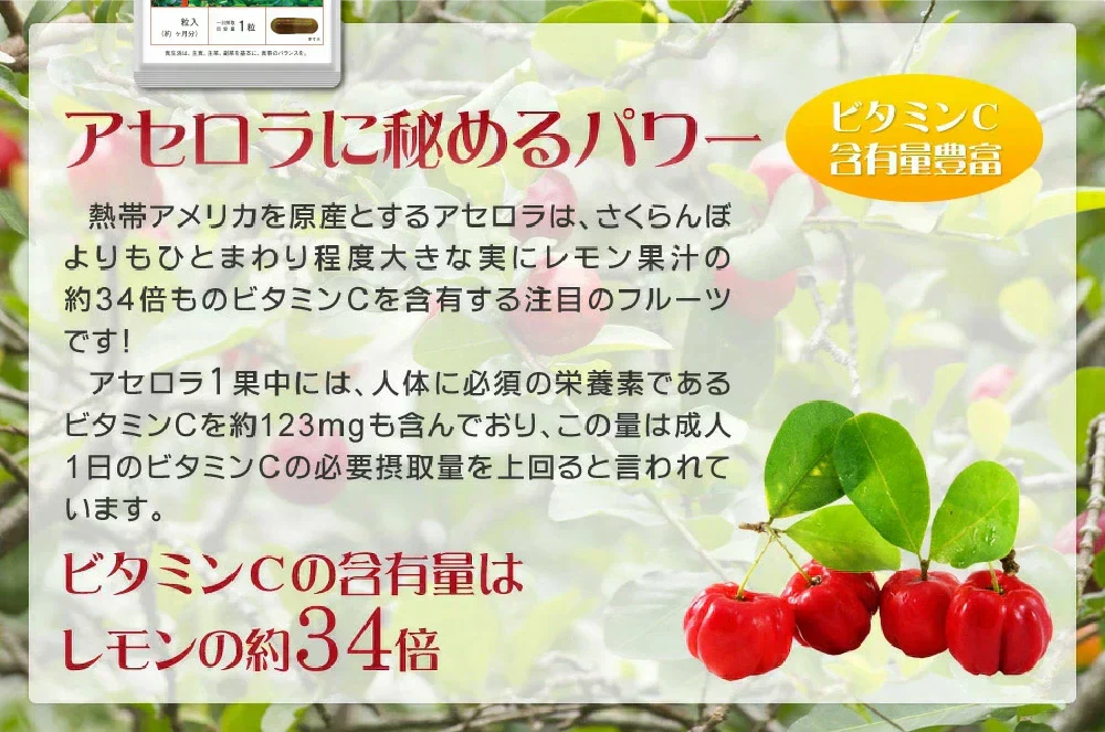 アセロラたっぷりビタミンC《約1ヶ月分》サプリ/アセロラサプリ/ビタミンCサプリ