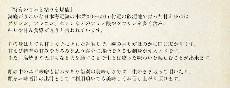 越前産 甘えび 甘エビ 子持ち 500g（約40尾入り） 冷凍エビ 冷凍えび 冷凍海老 刺身用 天然 食べ物 海鮮 魚介 水産 冷凍 祝い お徳用 国内 魚介類 美味しいお取り寄せ グルメ 贈り物 母の日 プレゼント ギフト  母の日思いの 実用的【フレッシュセール】