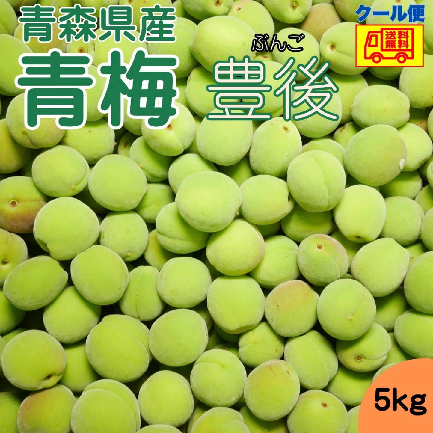 クール便送料無料！　青森県産　梅　豊後（ぶんご）　5ｋｇ