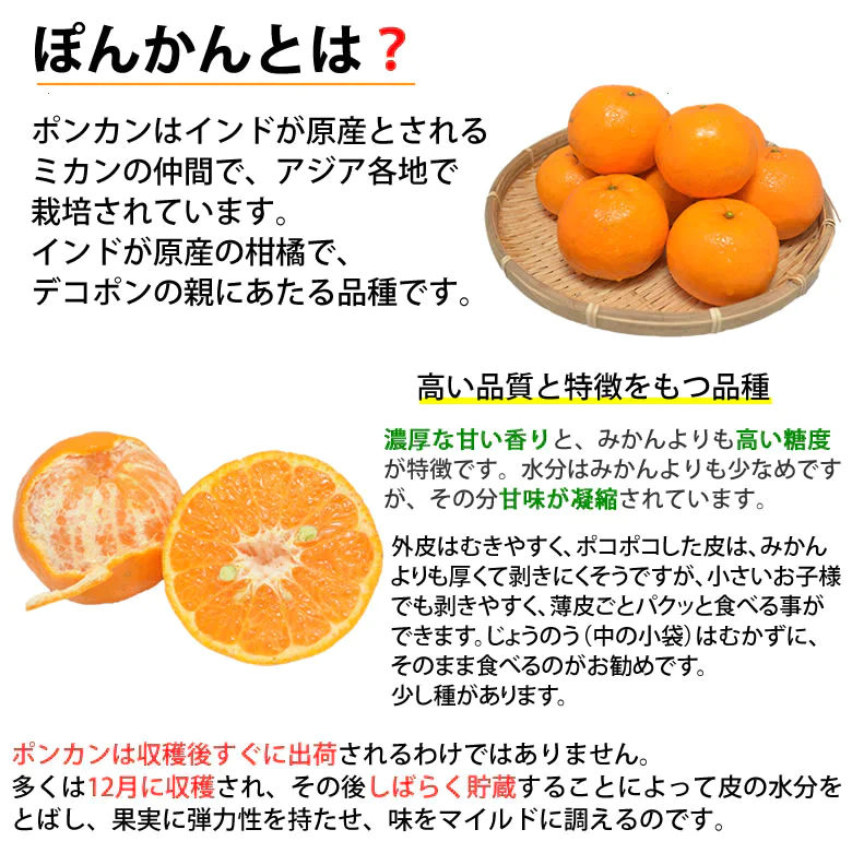 ポンカン 5kg 訳あり 送料無料 箱込 (内容量4kg+不良果補償分500g) 無選別 みかん 熊本県産 デコポン 蜜柑