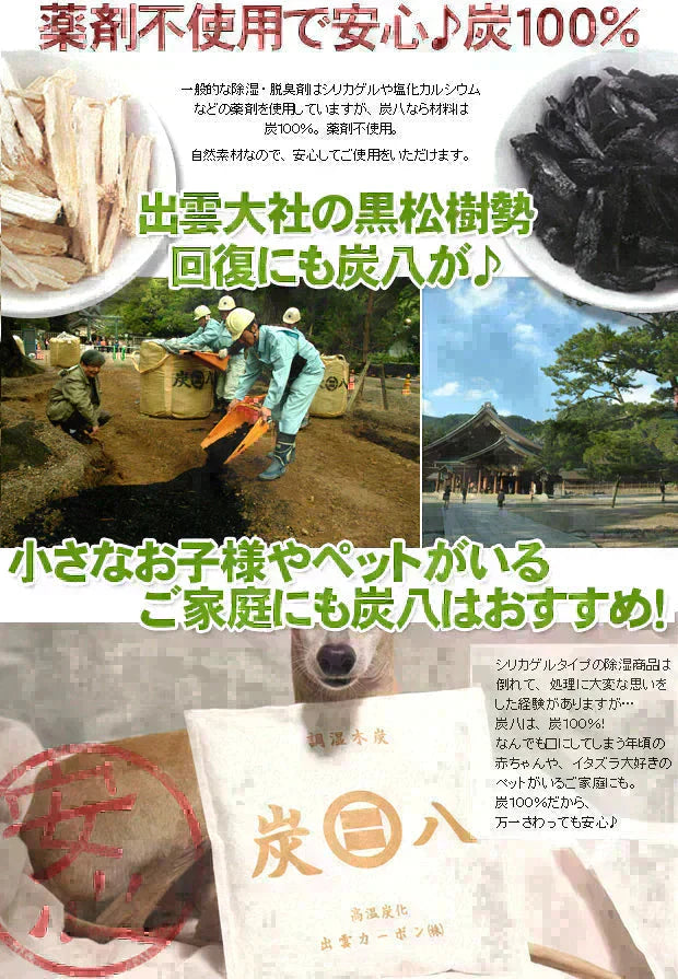 【即出荷】調湿木炭 炭八 スマート小袋 2個入