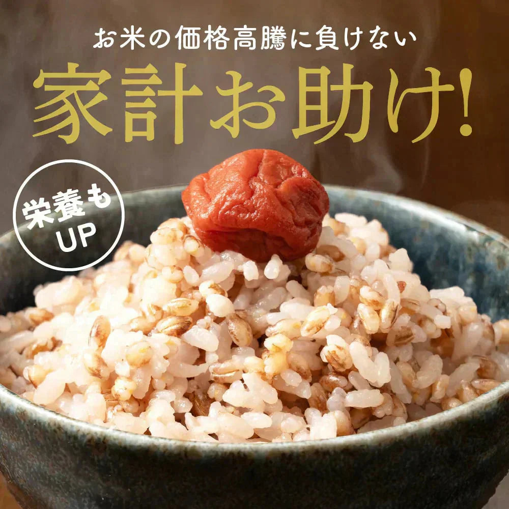 雑穀 雑穀米 国産 家計お助け米 もち麦ミックス 3kg(1kg×3袋)