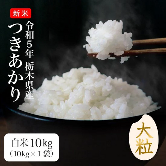 つきあかり 10kg 新米 令和5年 栃木県産 大粒で良食味 送料無料