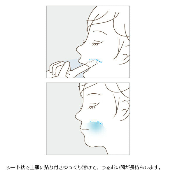 DMXシート(20枚入)【口臭・ドライマウス対策保湿シート】