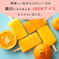 アイス ギフト みかん 100% 愛媛県産 冷やしみかん 合計20本 セット 無添加 砂糖不使用 アイスクリーム お取り寄せ スイーツ 詰め合わせ