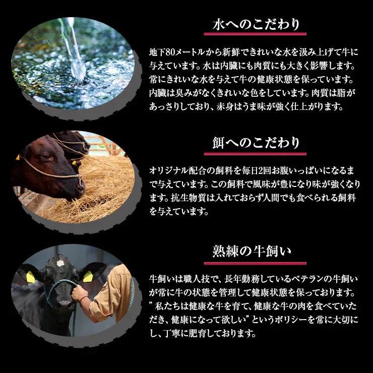 お歳暮 御歳暮  プレゼント ギフト 贈り物 しゃぶしゃぶ用 鍋 ローススライス 300ｇ 宮崎県産 黒毛和牛 EMO牛（有田牛/エモー牛） 冷凍食品 おかず お取り寄せグルメ  国産 九州産 ホルモン剤不使用 抗生物質不使用 遺伝子組換え飼料不使用 ホルモンフリー 牛肉