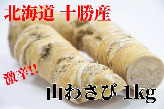 【激辛!!北海道十勝産の山わさび】 北海道 十勝産 山わさび セット販売 ホースラディッシュ 西洋わさび 野菜 わさび (1kg)