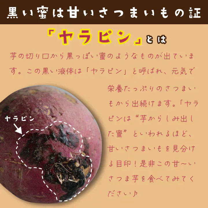 訳あり さつまいも 4kg 農薬不使用 「 佐賀県産 紅はるか 4kg 未選別 詰合せ 家庭用 」送料無料 福祉事業所直営農園栽培