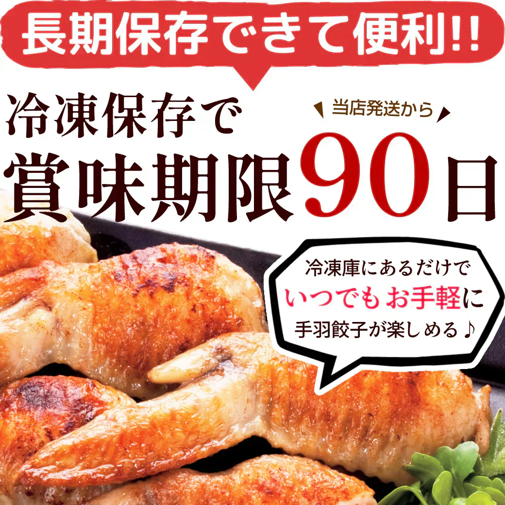 8秒に1本売れてる！手羽餃子 20本入 冷凍 餃子 国産鶏肉 惣菜 おかず 簡単調理 お取り寄せ グルメ 手羽先餃子 ビール おつまみ BBQ 人気 点心 送料無料