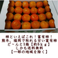 【11月上旬より順次発送予定】富有柿 訳あり 1箱(約5kg) 3L～Sサイズ 送料無料