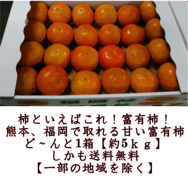 【11月上旬より順次発送予定】富有柿 訳あり 1箱(約5kg) 3L～Sサイズ 送料無料