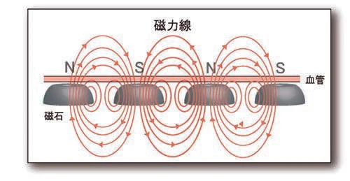 磁気健康足心サポーター ピンピン [ 足裏 医療機器 土踏まず 血行 ツボ押し 足の冷え 立ち仕事 疲れ 22~24cn 血行促進 ツボ むくみ むくみ解消 健康 冷え性 スポーツ 疲労 日本製 国内産 送料無料 ]