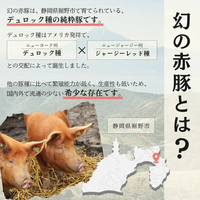 静岡県産赤豚こま　1kg（500g×2P）希少な幻の赤豚