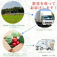 [みさわのやさい] フルーツにんじん 国産 10kg 訳あり 人参 大きさ おまかせ ニンジン 野菜 北海道産 長崎産 千葉産 家庭用 業務用