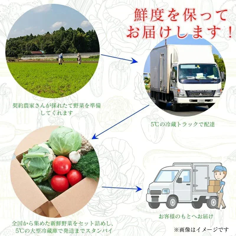 [みさわのやさい] フルーツにんじん 国産 10kg 訳あり 人参 大きさ おまかせ ニンジン 野菜 北海道産 長崎産 千葉産 家庭用 業務用
