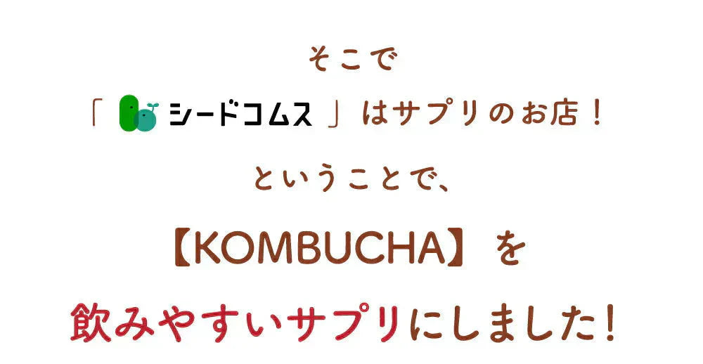 コンブチャ《約3ヶ月分》ダイエット サプリ サプリメント 美容 健康 酵素 乳酸菌  紅茶キノコ 酵母 ビタミンD 葉酸 ビタミンC ビタミンB 大豆ペプチド コンブ【大容量】