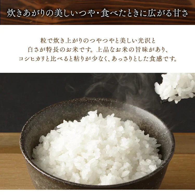 【カートアップNG】アイリスオーヤマ  低温製法米 山形県産つや姫  チャック付き  2kg