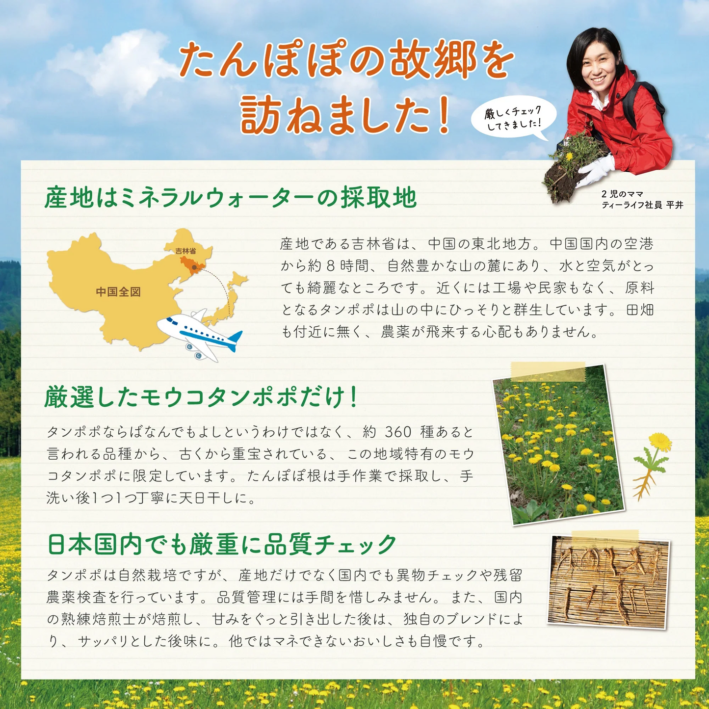 たんぽぽ茶清らかブレンドポット用　5個入（ お試しサイズ ノンカフェイン カフェインレス 母乳 育児 妊婦 たんぽぽ根 黒豆 黒豆茶 国産黒豆 醗酵ギンネム ハーブティー プレゼント ギフト 誕生日 妊活 お茶 水出し ティーバッグ )