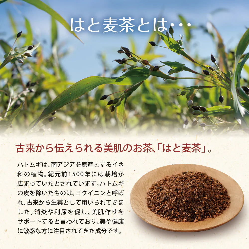 日本橋いなば園 はとむぎ茶ティーバッグ 60包 ネコポス メール便送料無料