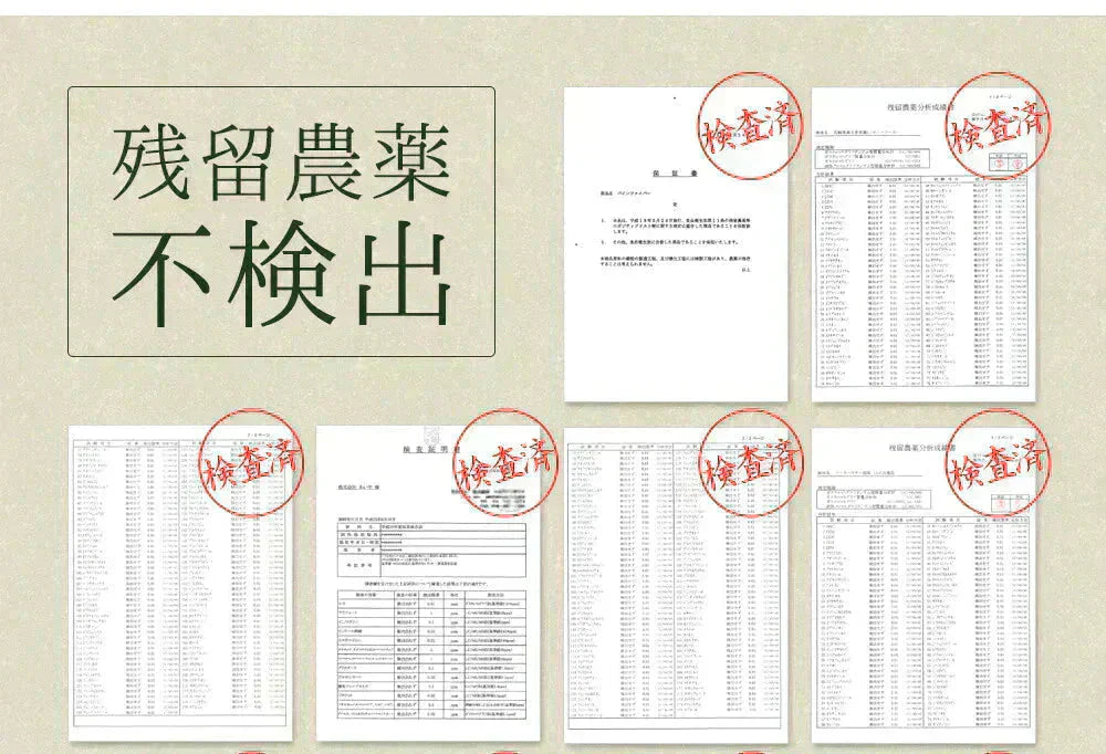 【輝きの青汁プラセンタ 入り 3g×30包入り】 ダイエット サプリメント 大麦若葉 抹茶 乳酸菌 食物繊維 ビタミンC カルシウム 青汁プラセンタ